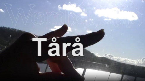Accent VS Alphabet: Pronunciation Paradox Of The Banana Tarana Complex